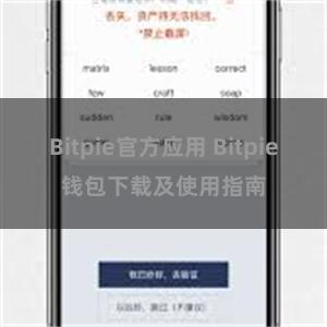 Bitpie官方应用 Bitpie钱包下载及使用指南