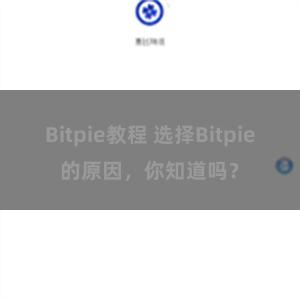 Bitpie教程 选择Bitpie的原因，你知道吗？