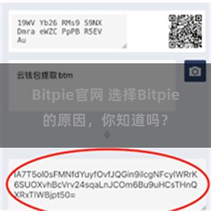 Bitpie官网 选择Bitpie的原因，你知道吗？