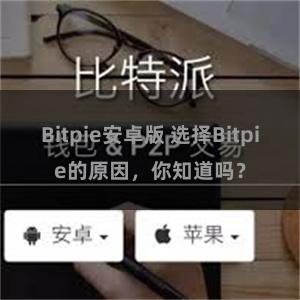 Bitpie安卓版 选择Bitpie的原因，你知道吗？