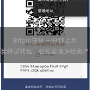 Bitpie扫码 一分钟上手比特派钱包，轻松管理多链资产