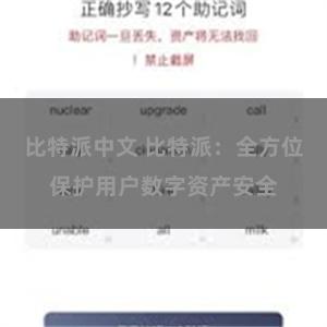 比特派中文 比特派：全方位保护用户数字资产安全