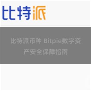 比特派币种 Bitpie数字资产安全保障指南