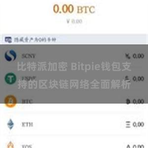 比特派加密 Bitpie钱包支持的区块链网络全面解析