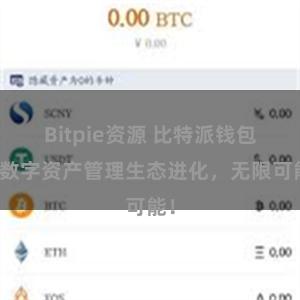 Bitpie资源 比特派钱包：数字资产管理生态进化，无限可能！