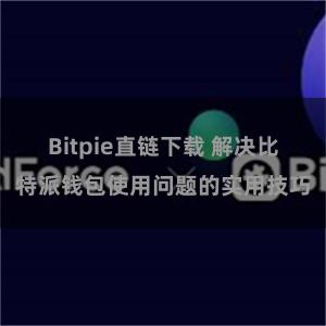 Bitpie直链下载 解决比特派钱包使用问题的实用技巧