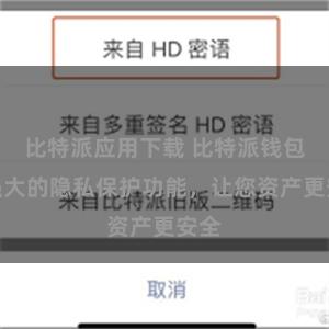 比特派应用下载 比特派钱包：强大的隐私保护功能，让您资产更安全