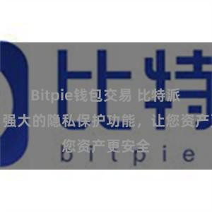 Bitpie钱包交易 比特派钱包：强大的隐私保护功能，让您资产更安全