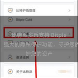 比特派多币支持 Bitpie钱包：强大的隐私保护功能，守护您的资产