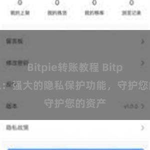 Bitpie转账教程 Bitpie钱包：强大的隐私保护功能，守护您的资产