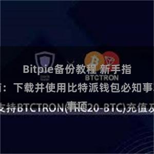 Bitpie备份教程 新手指南：下载并使用比特派钱包必知事项