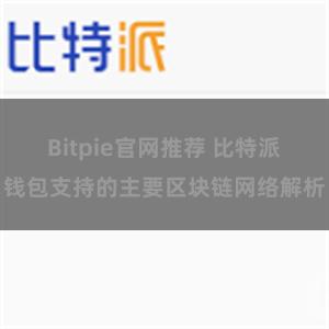 Bitpie官网推荐 比特派钱包支持的主要区块链网络解析