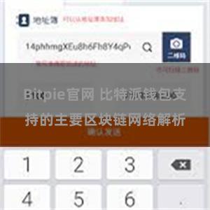 Bitpie官网 比特派钱包支持的主要区块链网络解析