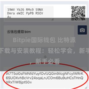 Bitpie国际钱包 比特派钱包下载与安装教程：轻松学会，新手必看