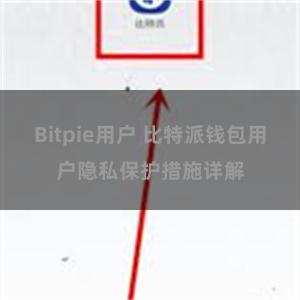 Bitpie用户 比特派钱包用户隐私保护措施详解