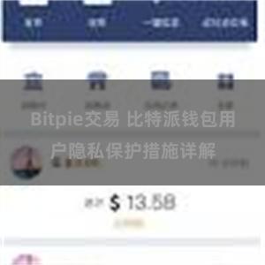 Bitpie交易 比特派钱包用户隐私保护措施详解