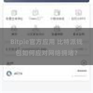 Bitpie官方应用 比特派钱包如何应对网络拥堵？