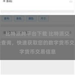 比特派跨平台下载 比特派交易记录查询，快速获取您的数字货币交易信息