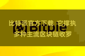 比特派官方下载  它撑执多种主流区块链收罗