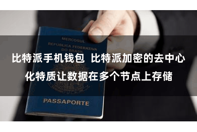 比特派手机钱包  比特派加密的去中心化特质让数据在多个节点上存储