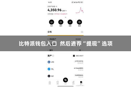 比特派钱包入口  然后遴荐“提现”选项