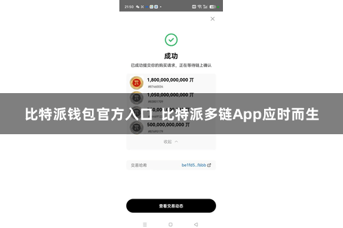 比特派钱包官方入口  比特派多链App应时而生