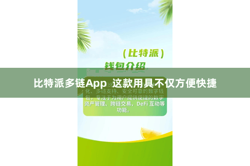 比特派多链App  这款用具不仅方便快捷